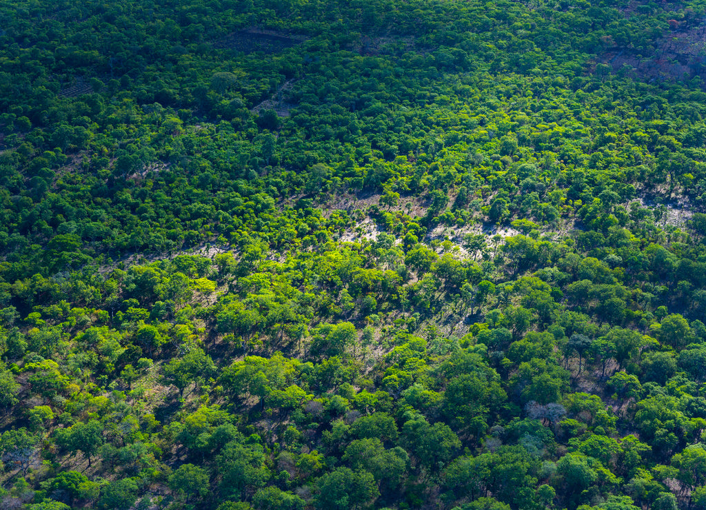 Kasanka National Park, Serenje, Provincia central, Zambia, Africa