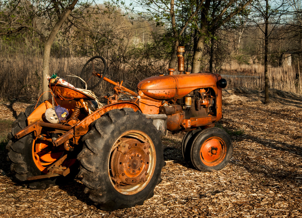 USA, New Jersey, Edison, Edison Wetlands Association, Triple C Ranch, Earth Day '09 Celebration, tractor
