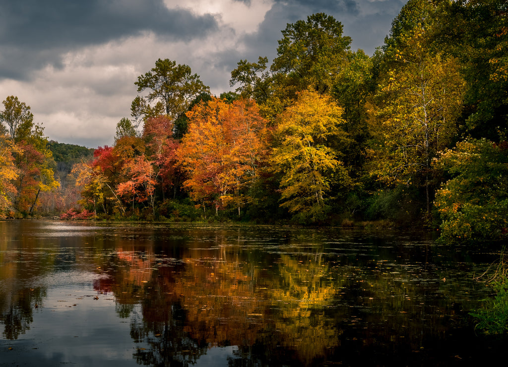 Vibrant autumn foliage reflected in Swartswood Lake at Swartswood Lake State Park, Stillwater, New Jersey