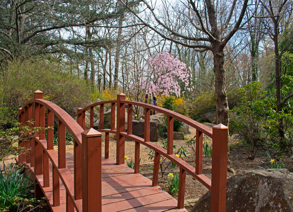 Small wooden bridge in a Japanese styled garden at Sayen Gardens, Hamilton, New Jersey, USA -05