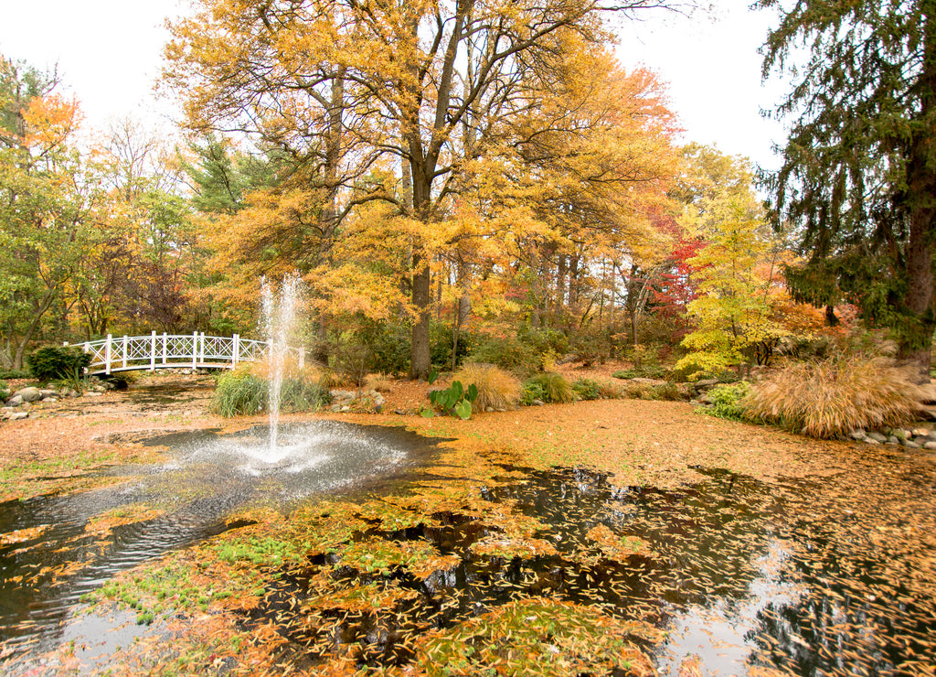 Autumn Day at Sayen Garden in Hamilton, New Jersey