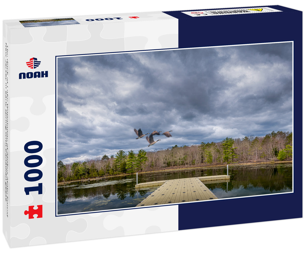 The dock at Lake Wapalanne at Stokes State Forest New Jersey in early spring with Canadian geese