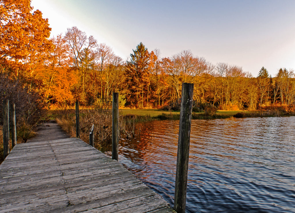 Autumn at Lake Ashroe, New Jersey