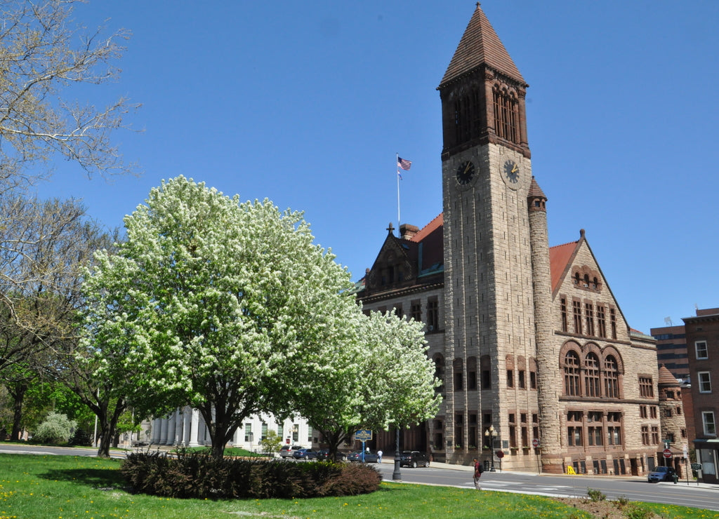 Albany City Hall in New York State