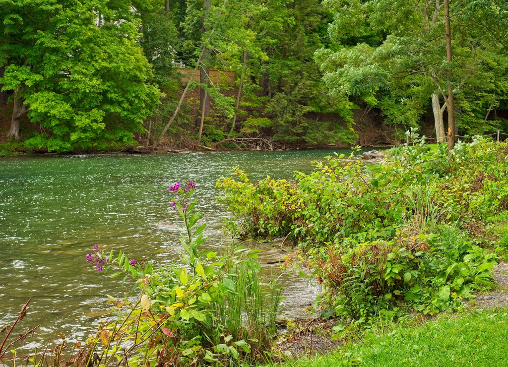 Scenic Susquehanna River near the start of its journey in Cooperstown New York