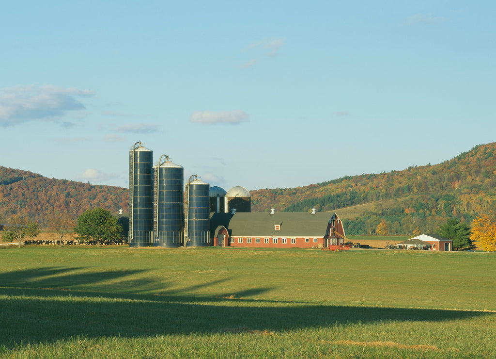 Barn and Silos, Dutchess County, New York