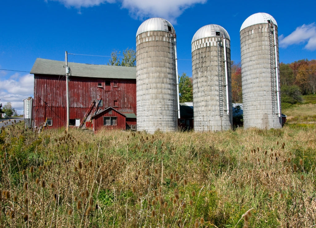 Farm in Delaware County New York