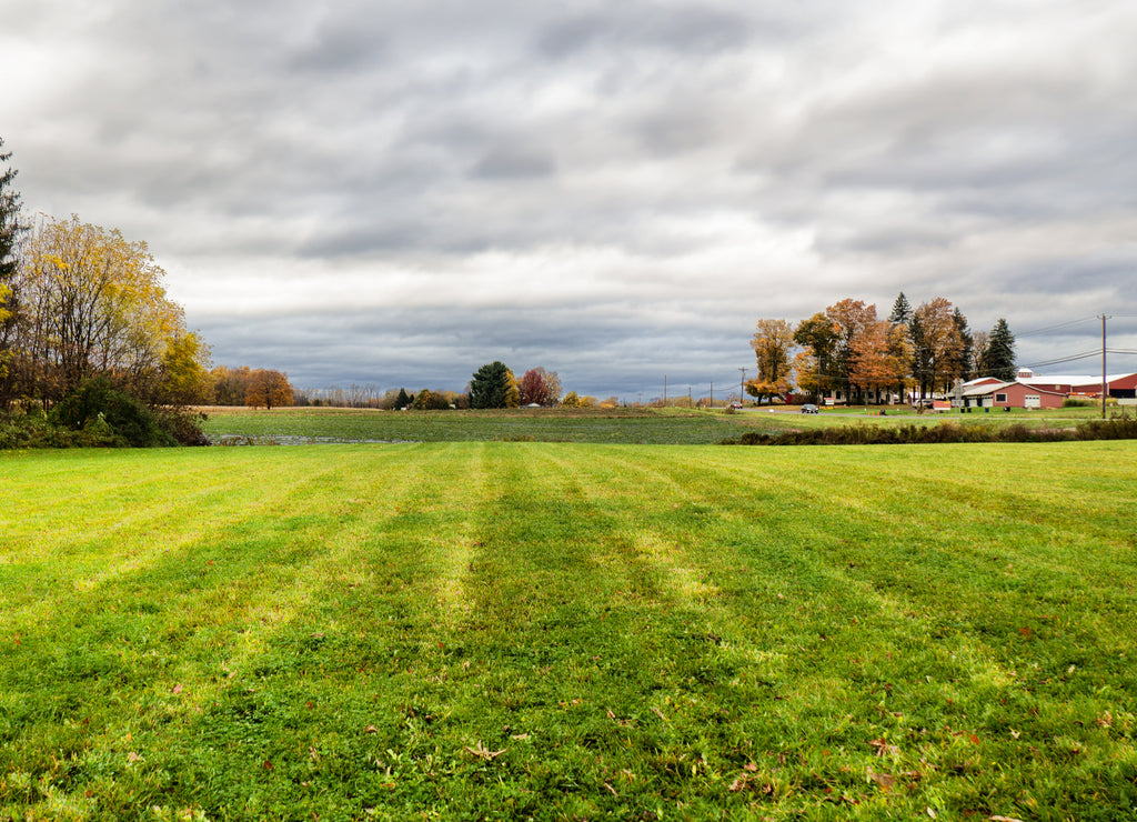 Cleared farmland in rural Onondaga County, New York