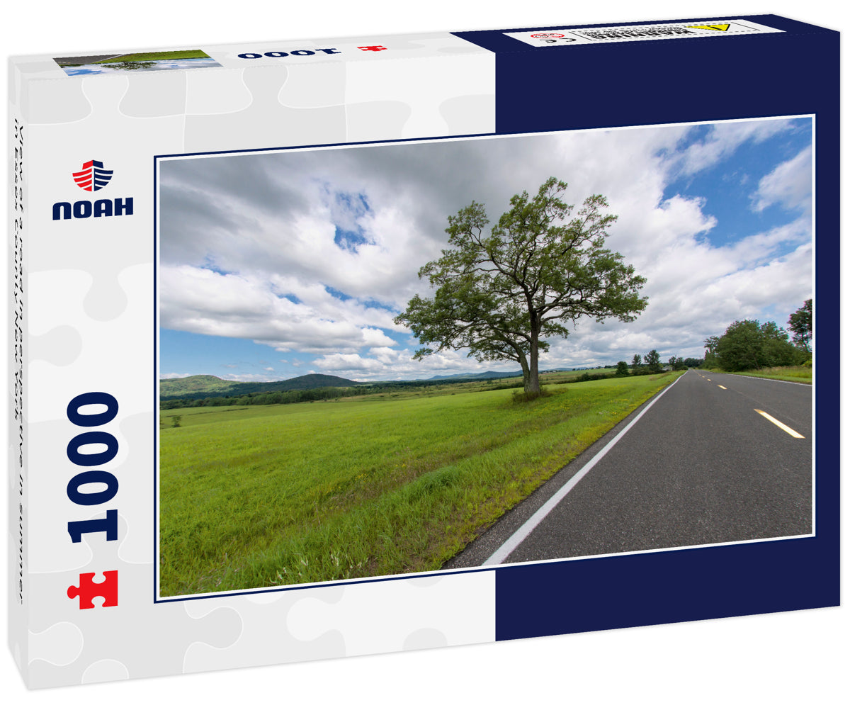 View of a road in perspective in summer in Essex County New York
