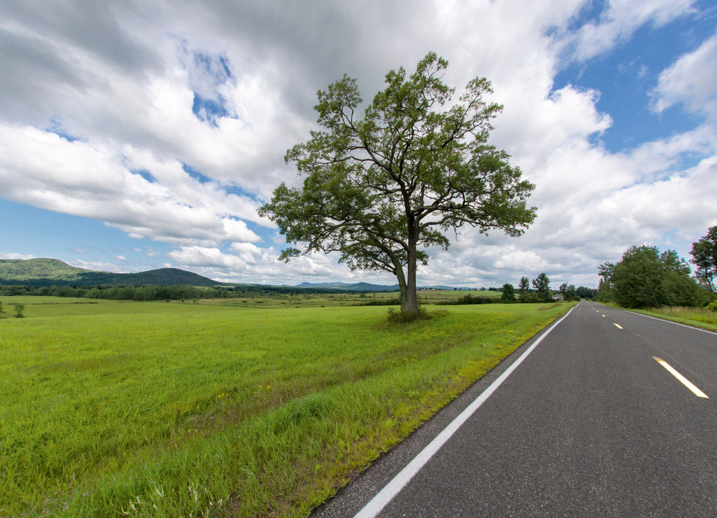 View of a road in perspective in summer in Essex County New York