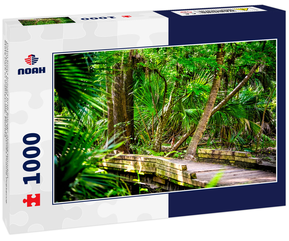 Palm trees leaves lush foliage along wooden boardwalk bridge in marsh in Paynes Prairie Preserve State Park in Gainesville, Florida