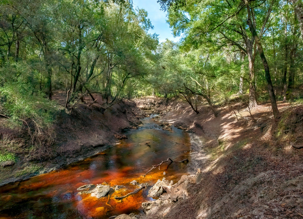 Alapaha River, Hamilton Co, Florida