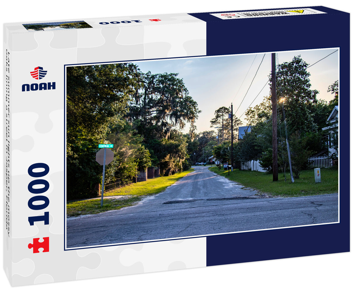 Late summer sun lights up the mossy oaks lining a street in Jasper, Florida