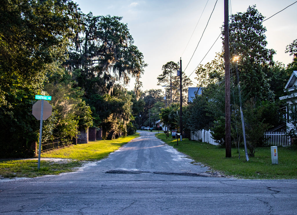 Late summer sun lights up the mossy oaks lining a street in Jasper, Florida