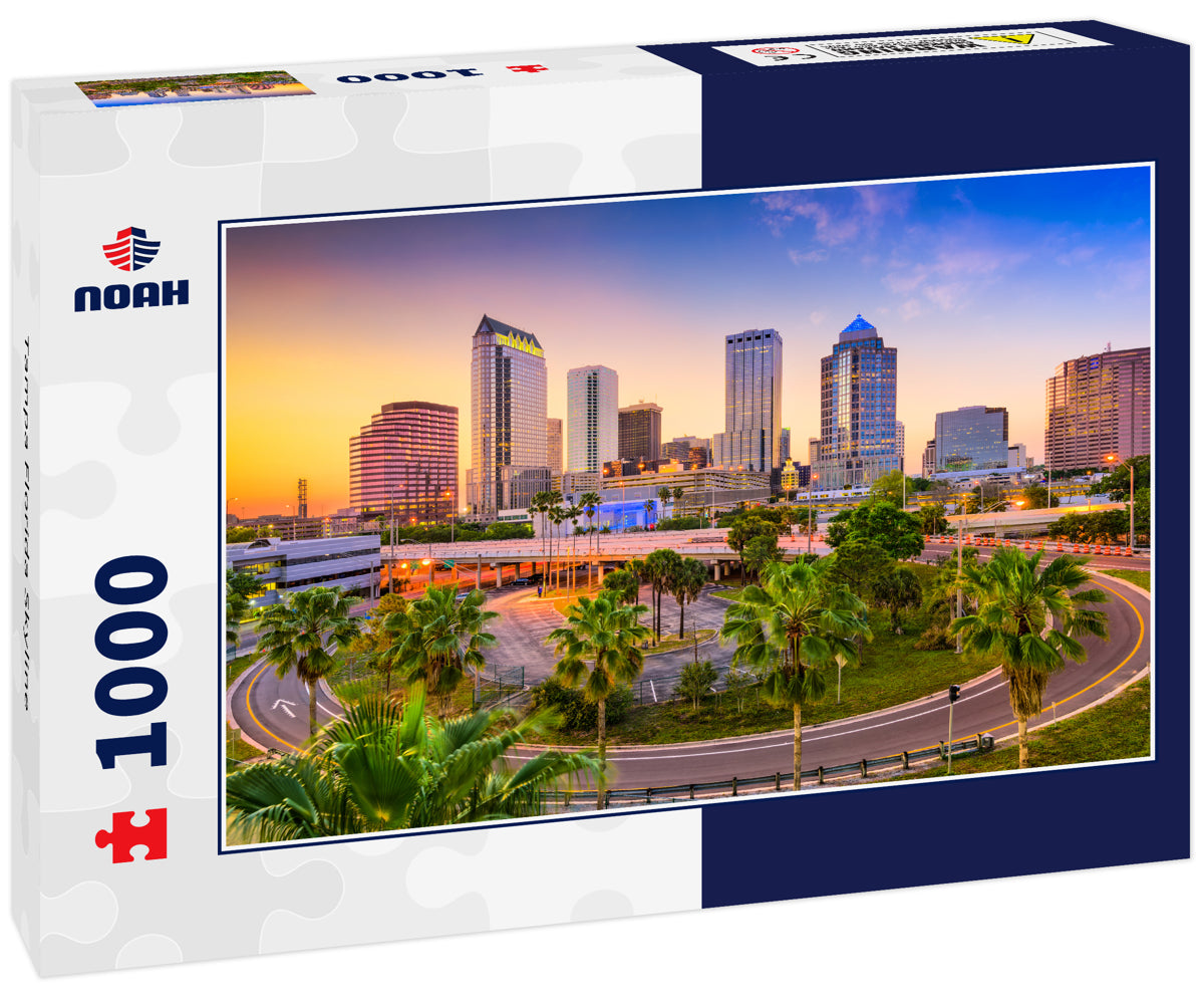 Tampa Florida Skyline