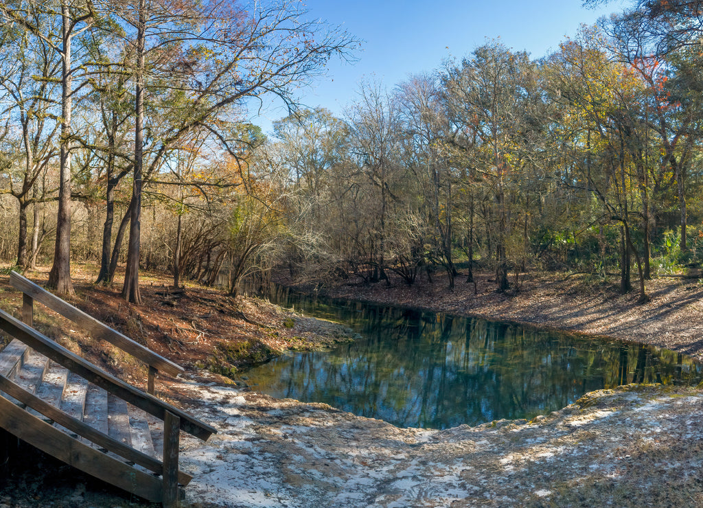 Ruth Springs, Lafayette County, Florida