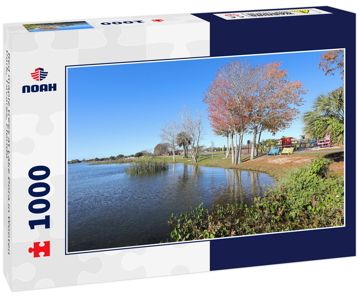 Red maple trees at Lake Dora in Wooten Park, Tavares, Florida