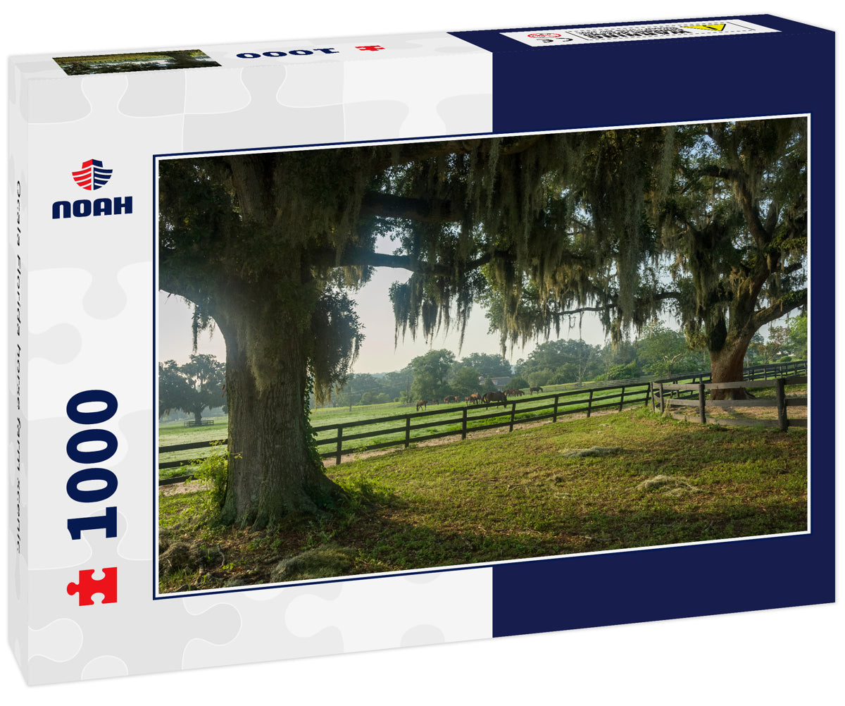 Ocala Florida horse farm scenic
