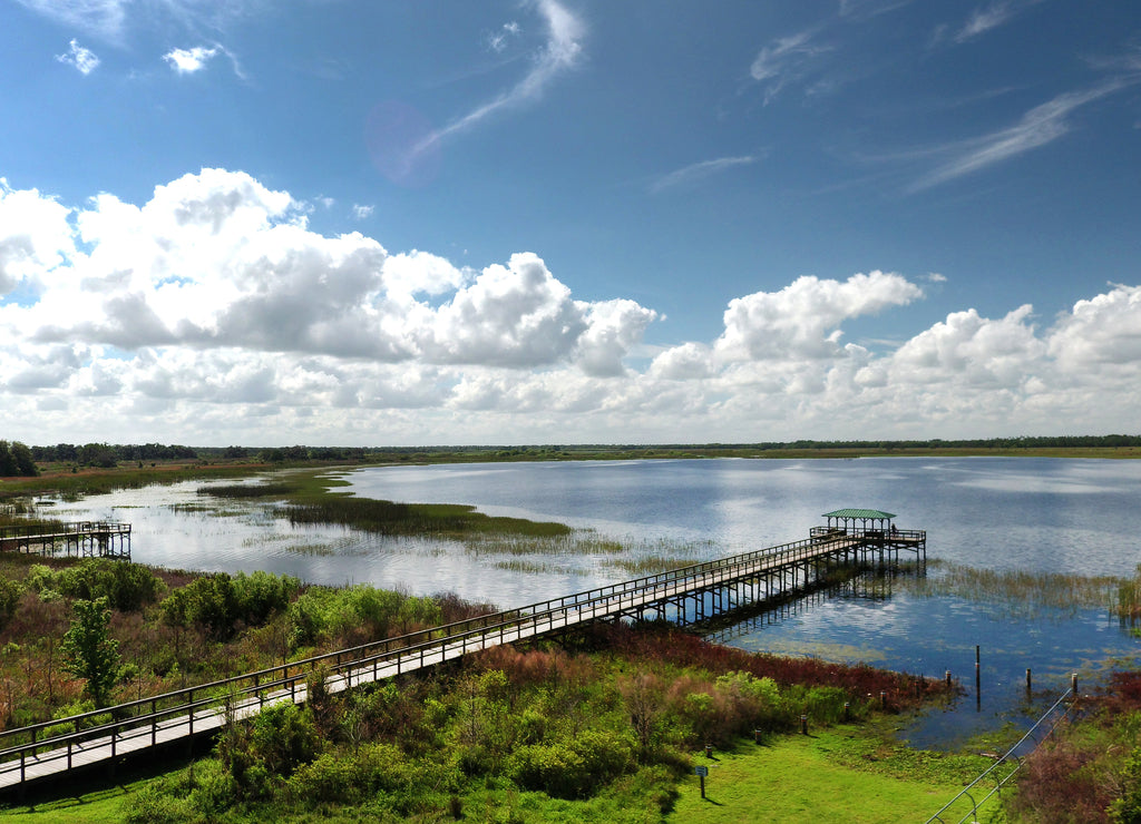 Nature Conservatory Twin Oaks Park located at Osceola County in Central Florida