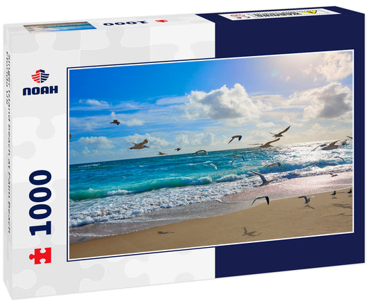 Singer Island beach at Palm Beach Florida US