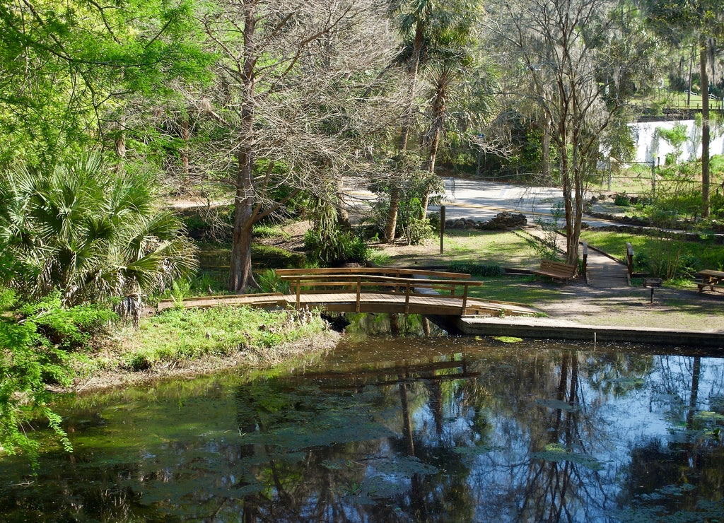 Ravine Gardens State Park, a Florida State Park in Palatka, Florida. Picnic areas, gardens, hiking trails, bridge and pond