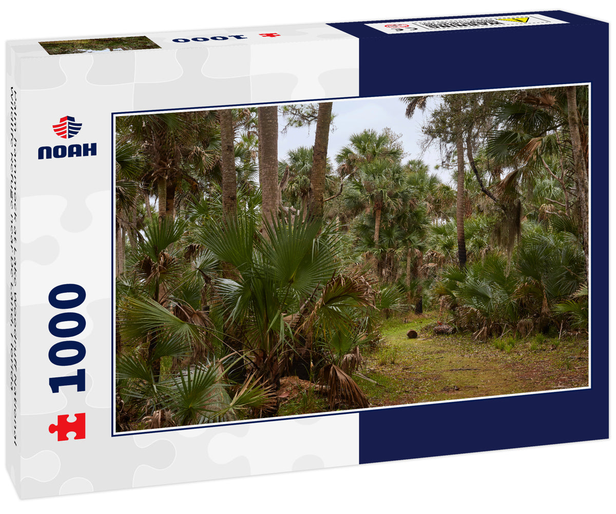 Palm hammock at Lake Woodruff National Wildlife Refuge near De Land, Florida