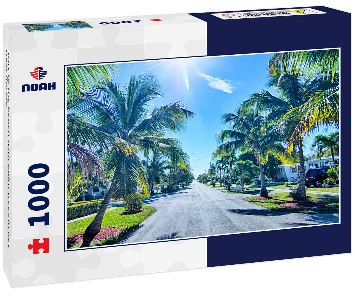 way to the beach with palm trees in key west florida