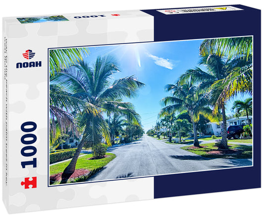 way to the beach with palm trees in key west florida