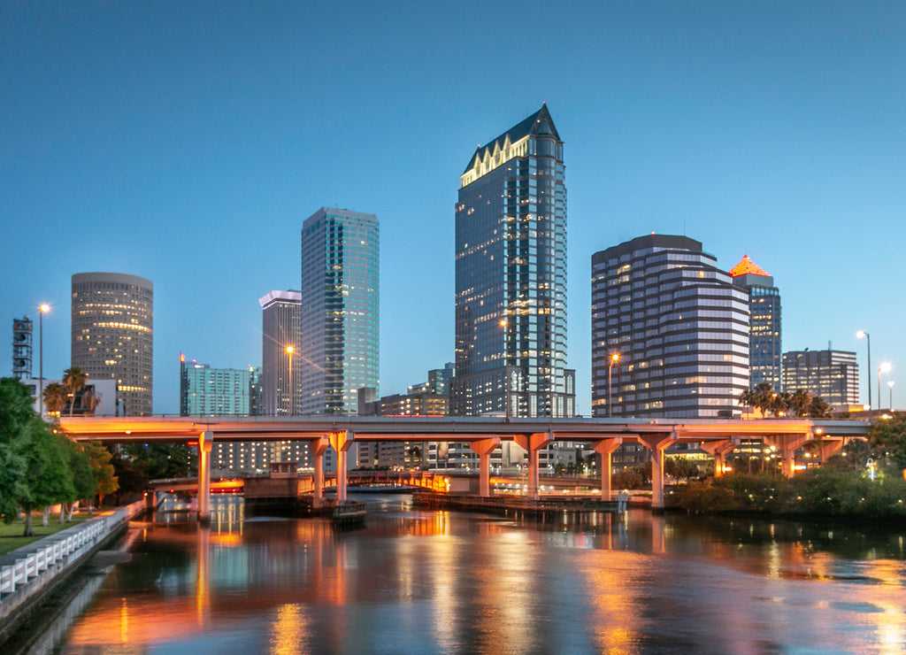 Tampa Bay Florida Skyline
