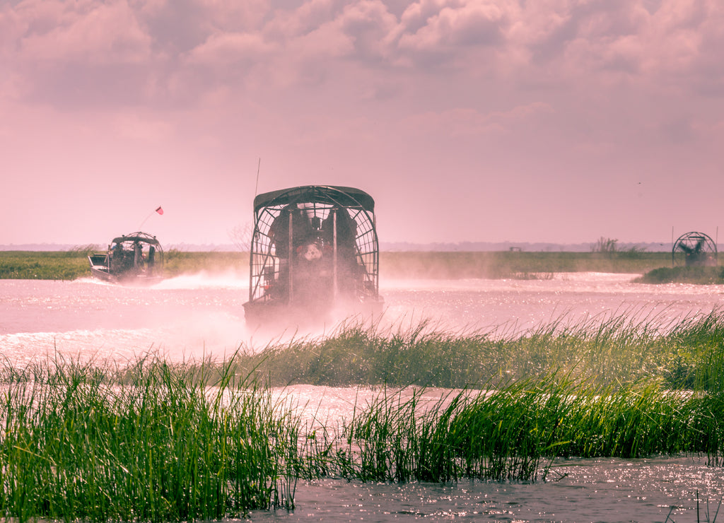 Everglades airboat ride in South Florida, National Park