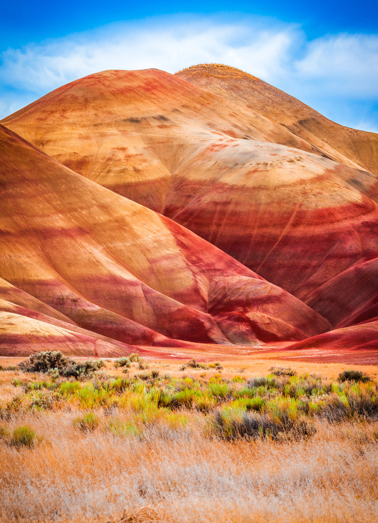 Colorful clay hills in the Painted Hills of Oregon, USA