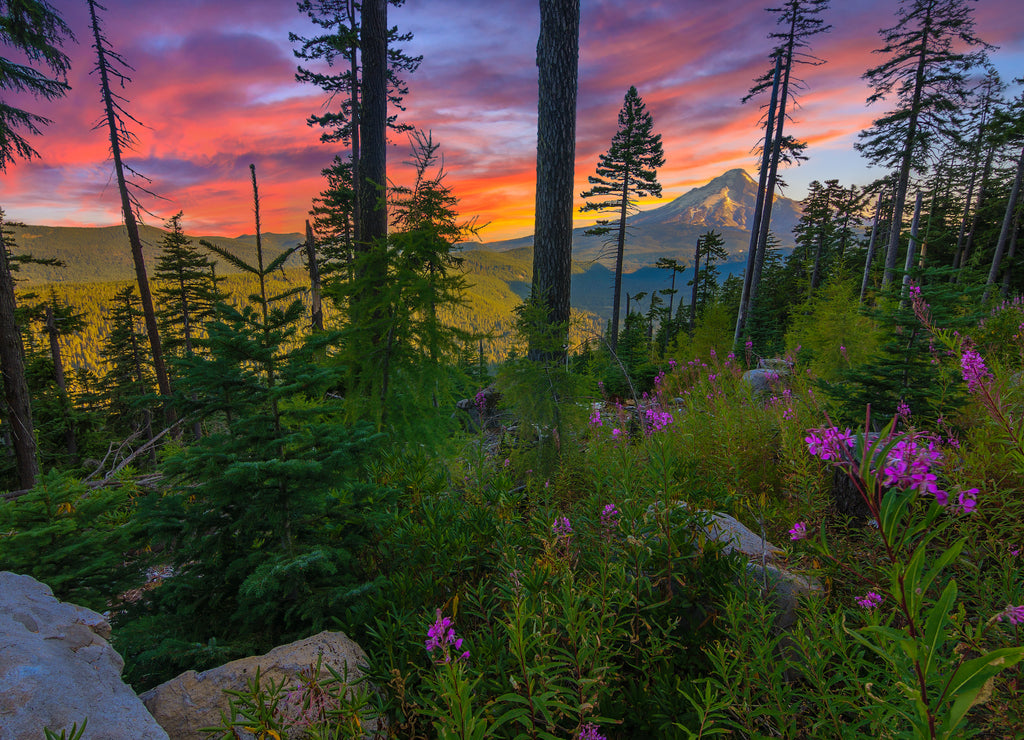 Beautiful Vista of Mount Hood in Oregon, USA