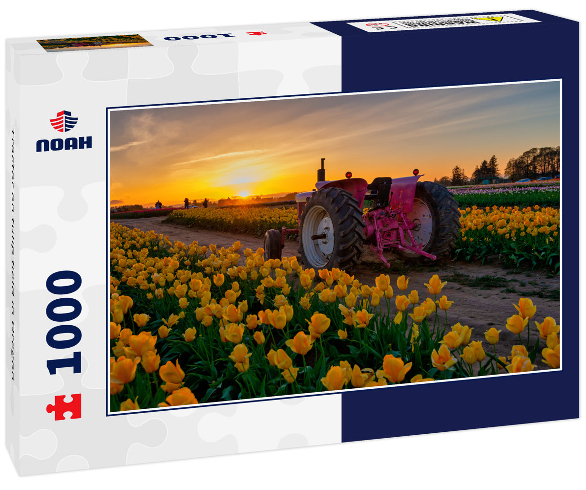 Tractor on tulip field in Oregon