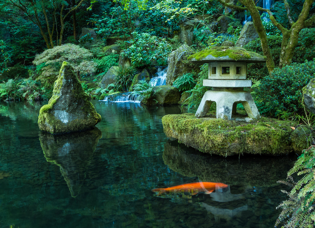 A Lantern and Waterfall in the Portland Japanese Garden