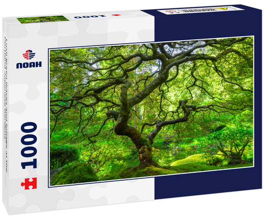 Lush green leaves and foliage at the Portland Japanese Gardens