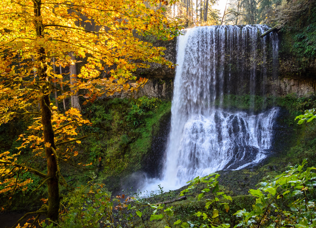 Silver Falls State Park Oregon