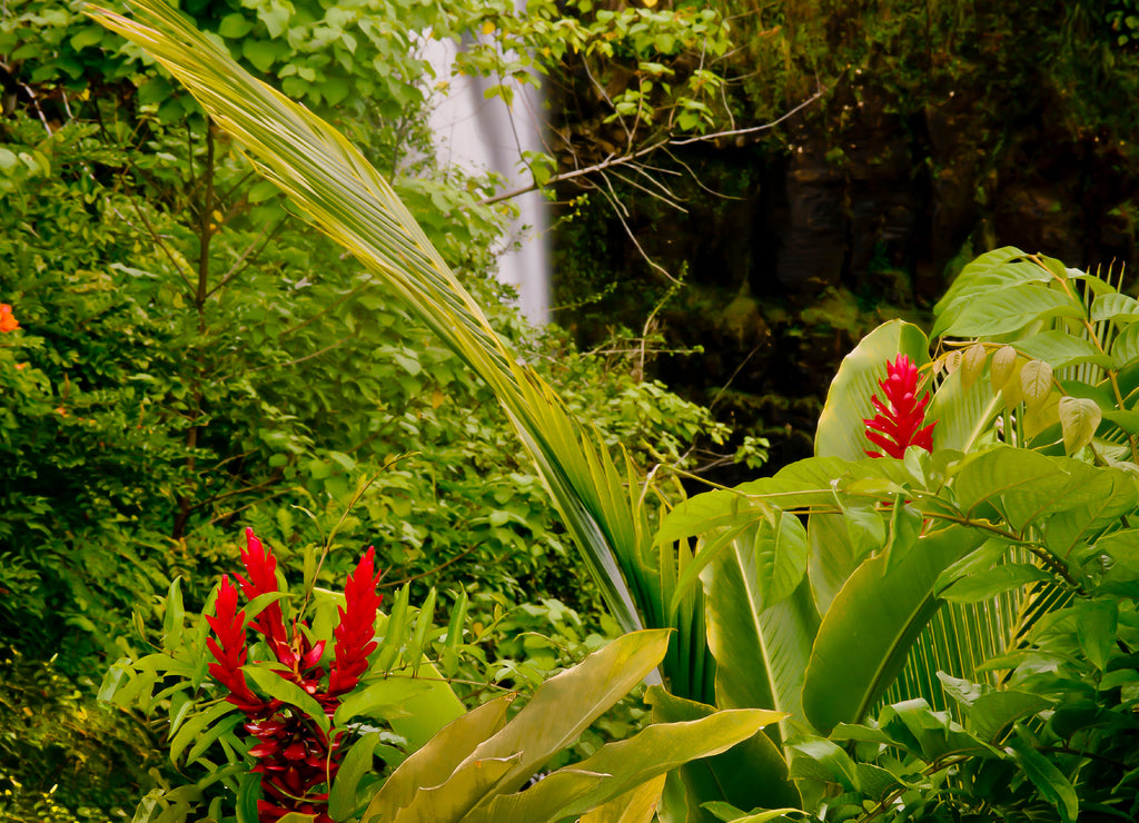 Lovely Rainbow Falls on the Big Island of Hawaii