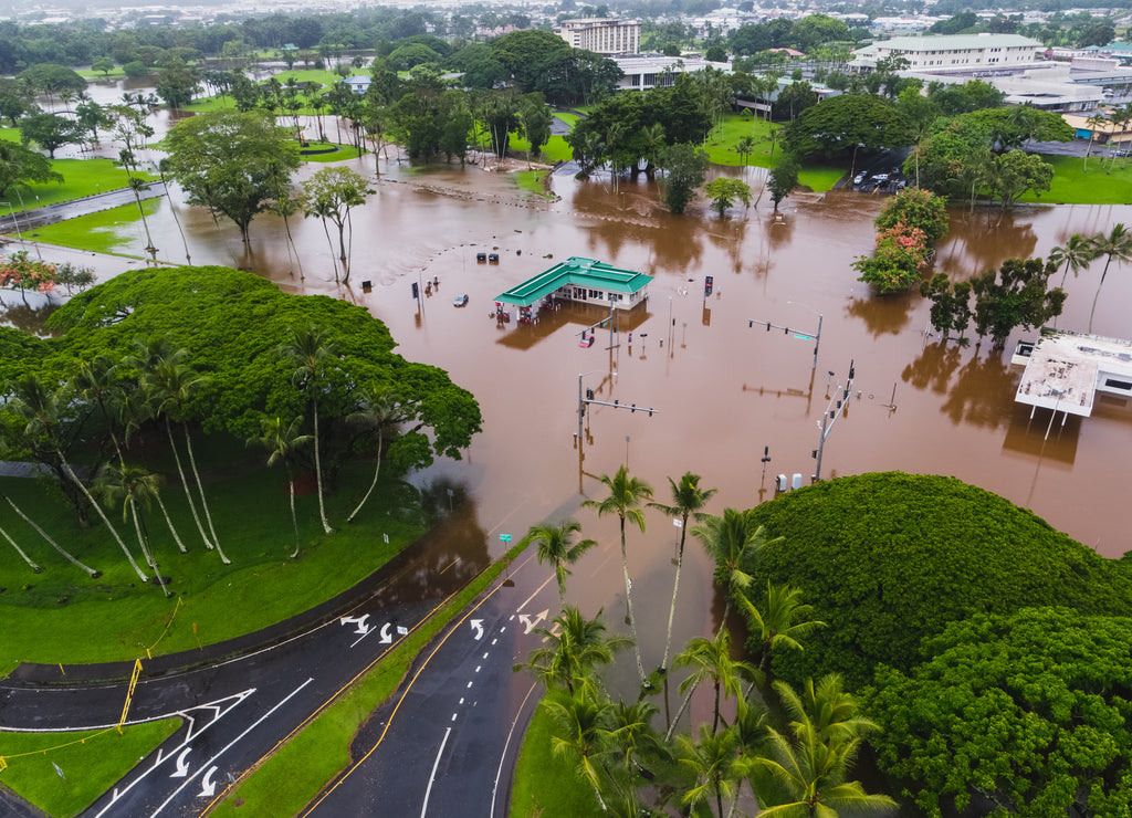 Flooded Park in Hilo Hawaii after big storm