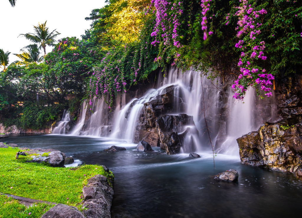 A Beautiful Waterfall in Hawaii