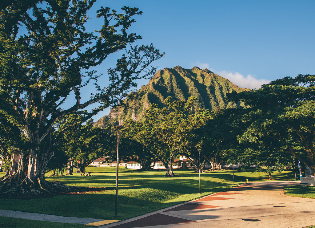 Beautiful park with university of Hawaii during sunny day near Honolulu