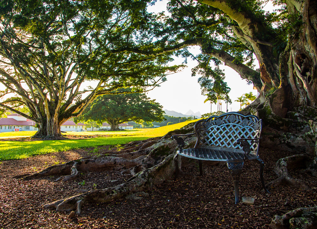 Beautiful park with university of Hawaii during sunny day near Honolulu