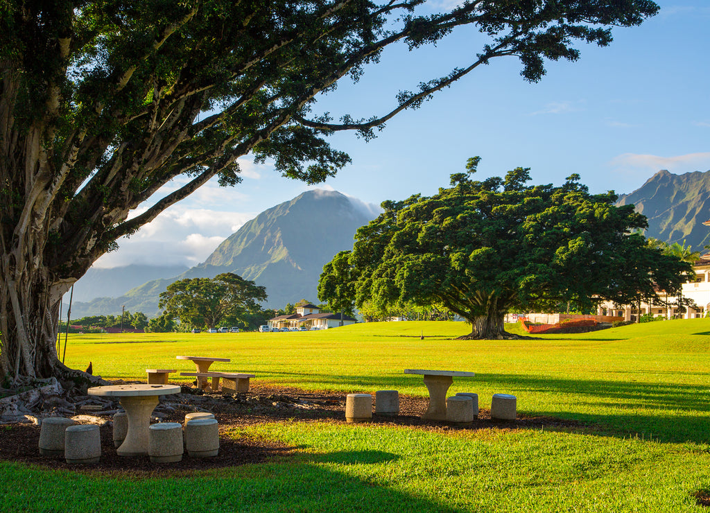 Beautiful park with university of Hawaii during sunny day near Honolulu