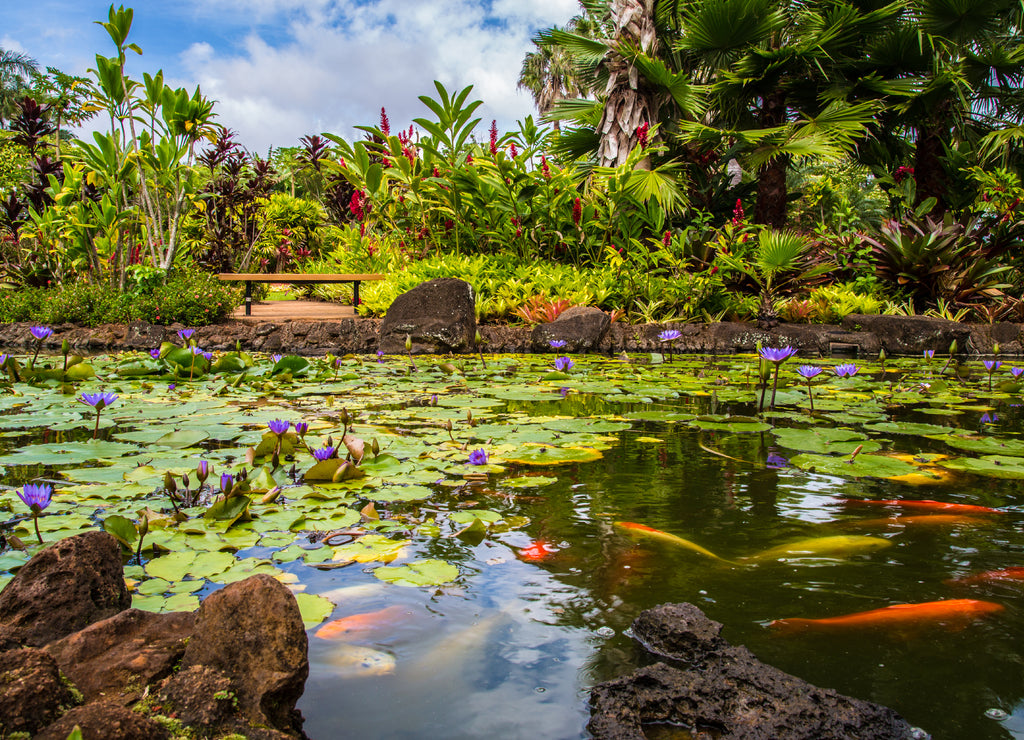 Beautiful tropical waterfall in Waimea Valley park on Oahu island, Hawaii