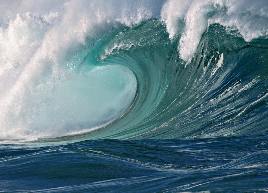 Empty Wave - Waimea Bay Shorebreak, Oahu, Hawaii