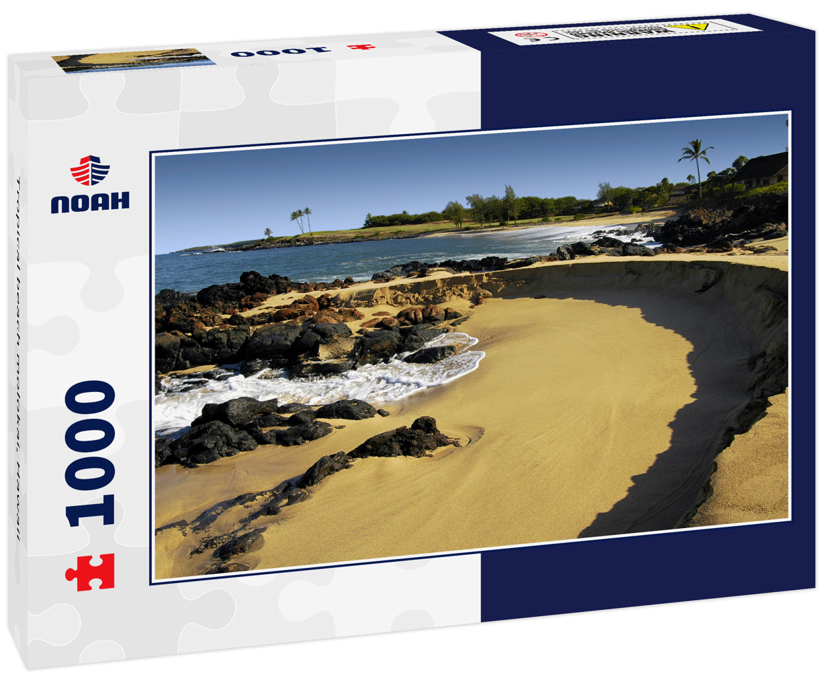 Tropical beach molokai, Hawaii