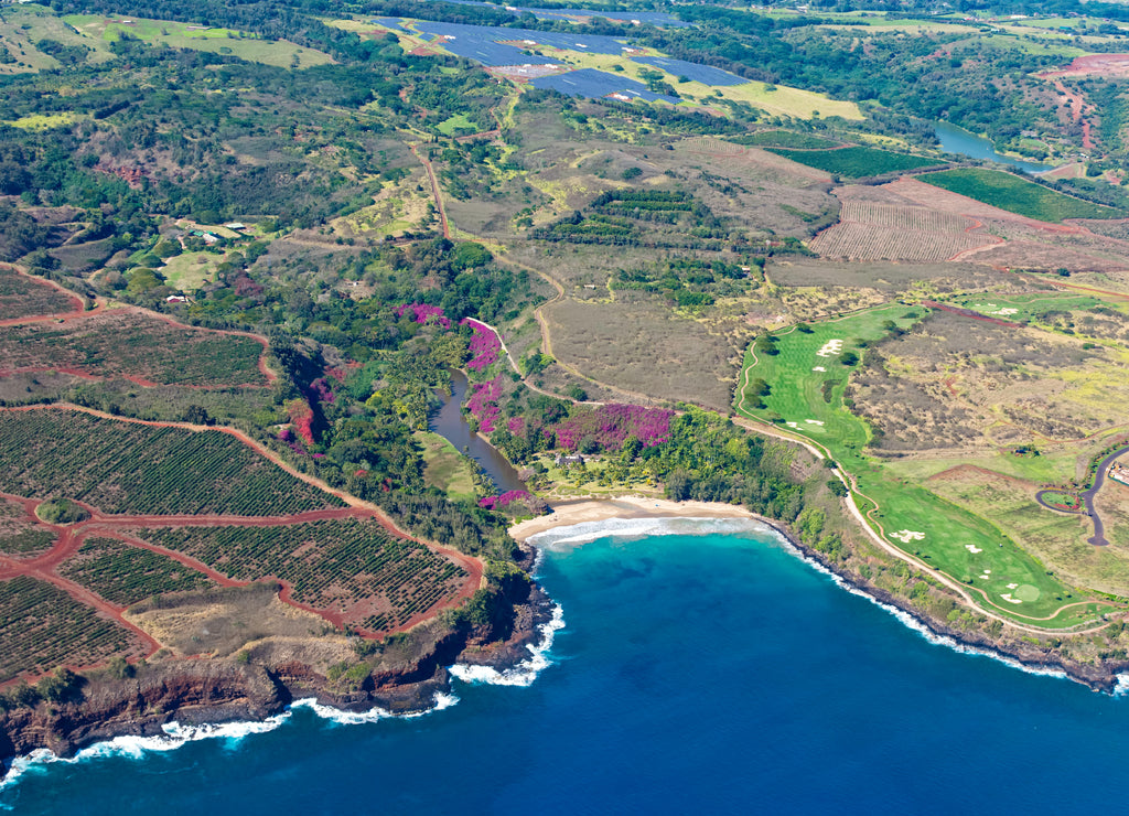 Aerial view of Kauai south coast showing coffee plantations near Poipu Kauai Hawaii USA