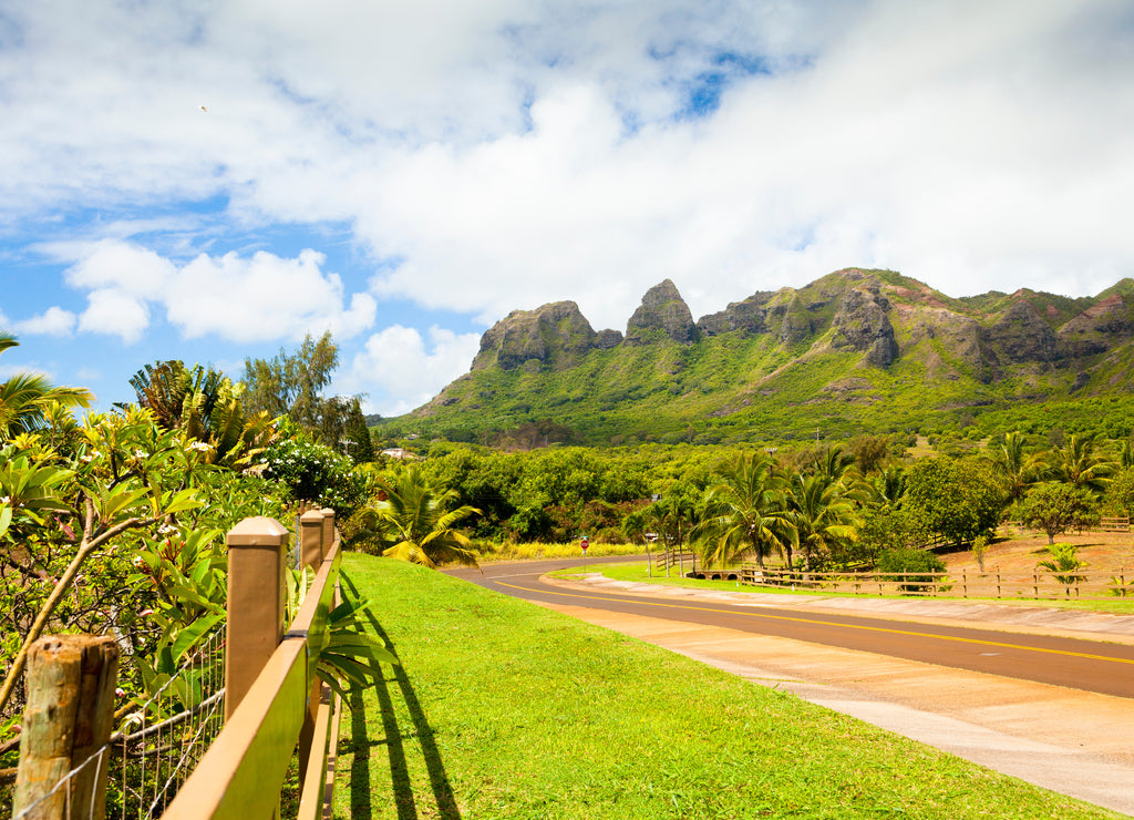 Hawaii kawaii kalalea king kong mountain