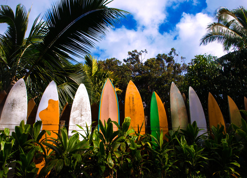 Row of surfboards stacked as a fence in Maui, Hawaii