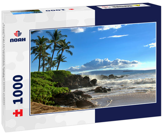 Tropical Hawaiian beach with palm trees, Maui, Hawaii, USA