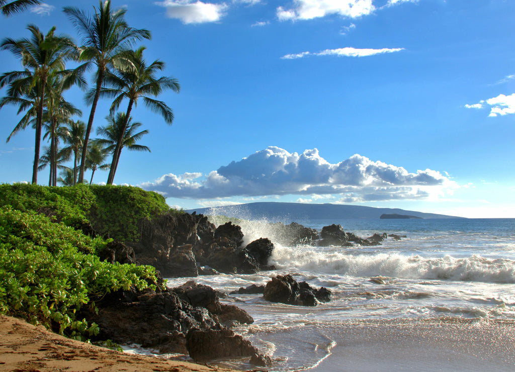 Tropical Hawaiian beach with palm trees, Maui, Hawaii, USA
